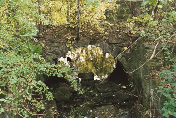 Photograph of 18th century mill race at Saint Ann's mills