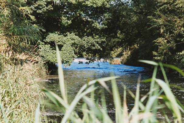 Photograph looking upstream towards the Burley Mill weir