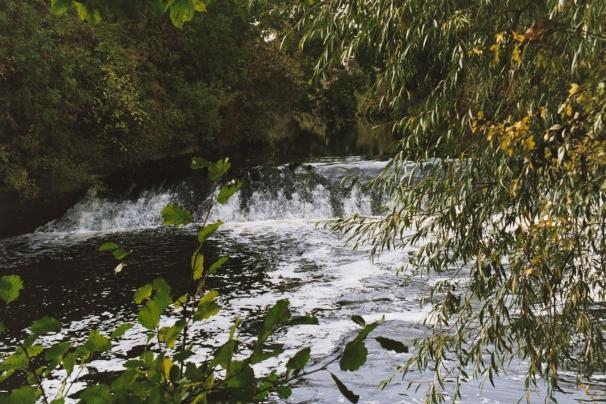 Photograph of the weir at Saint Ann's Mills