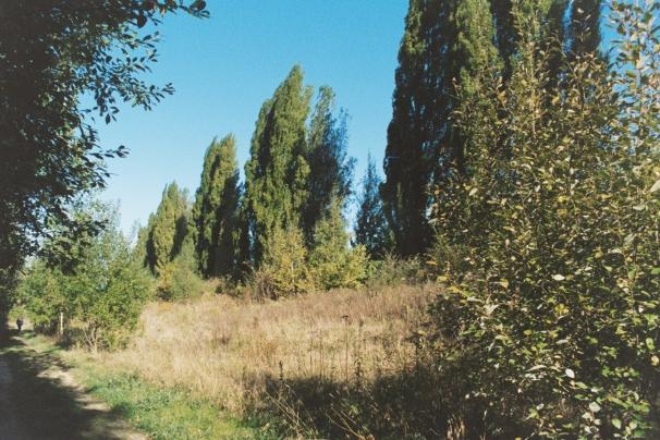 Photograph of the footpath leading to the Nature Reserve