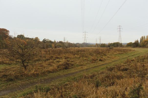 Proposed horse riding centre