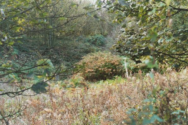 Photograph of the proposed adventure playground